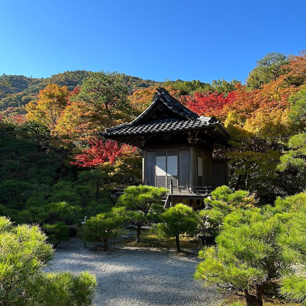 🏞️ 오코치산소 정원 이미지 7